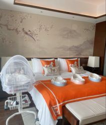 -巍阁月子中心(国贸店)