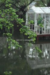 -糖果baby儿童摄影定制馆(外景店)