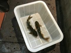 -野山舂·贵州现舂酸汤火锅(鸿通城店)