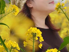 -桑洲油菜花景区