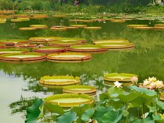 -国家植物园南园