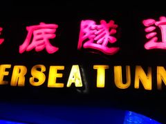 -太平洋海底世界