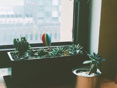 景观位-不正咖啡(万达尊店)