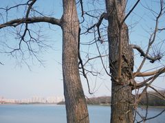 -盘龙城国家考古遗址公园