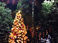 -宝莱纳啤酒花园餐厅PAULANER BRAUHAUS Nanjing(广州路店)