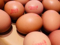 -龍歌自助小火锅(李沧丽达店)