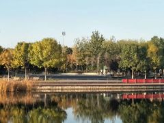 -永定河休闲森林公园