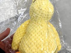 -谐和益家动物医院·免疫绝育·血液透析·宠保定点医院(高新伊藤分院)