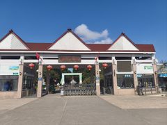-上海都市菜园