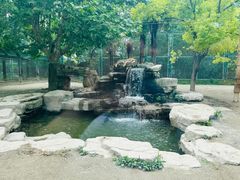 -上海野生动物园