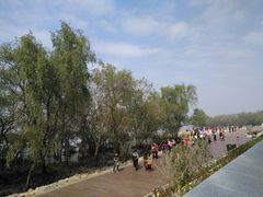 -宝安西湾红树林湿地公园