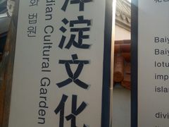 -白洋淀景区