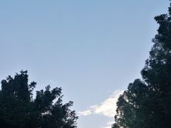 -华南理工大学(大学城校区)