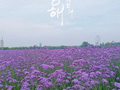 -山明水秀大饭店