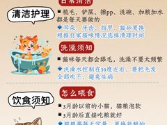 -翊宠yipet猫狗购宠庄园犬舍•猫舍