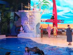 -三亚海昌梦幻海洋不夜城