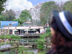 -成都泰迪熊博物馆