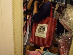 纪念品-猫咪博物馆(顶澳仔猫街店)