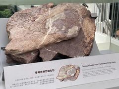 -九龙公园