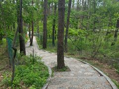 -帽儿山国家森林公园