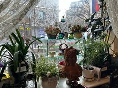 -露西亚咖啡西餐厅(哈尔滨俄侨纪念馆店)