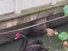 -东钱湖旅游度假区