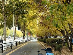 -红星美凯龙(东北全球家居1号店)