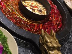 -蜀大侠火锅(建设路第五大道店)