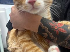 -FAELING PETS美天灵宠物(富力广场店)