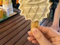 -榴莲BB 四季果园