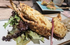 Green Dragon Lobster Minis