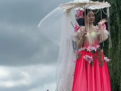 -荷兰花海