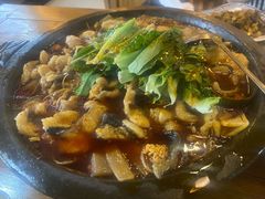 -都江堰石锅鱼