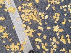 -重庆工商大学(南岸校区)