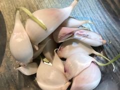 -左陕右甘(亚运村店)