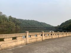 -李小龙乐园(顺德均安店)