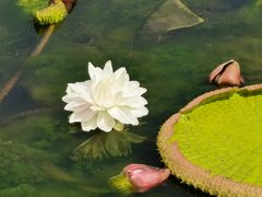-陕西省西安植物园