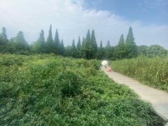 -成都南湖公园