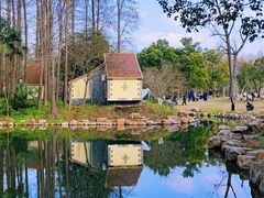 -上海共青森林公园