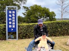 -广东惠东海龟国家级自然保护区
