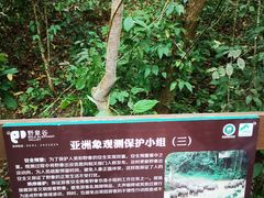 -野象谷景区