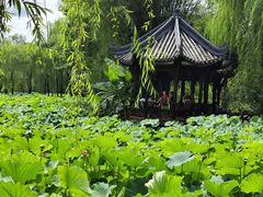 -老桂湖公园-杨升庵博物馆