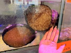 -好彩海鲜火锅饭店(银河百老汇店)