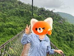 -三亚亚龙湾人间天堂鸟巢度假村
