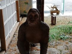 -中国第四纪冰川遗迹陈列馆