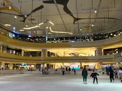 -冠军冰场CHAMPION RINK(苏州中心商场店)