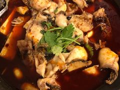 -虎虎龙虾大排档(双井店)