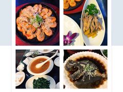 -云中小雅