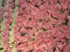 -杭州黄龙洞