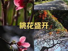 -桃花涧